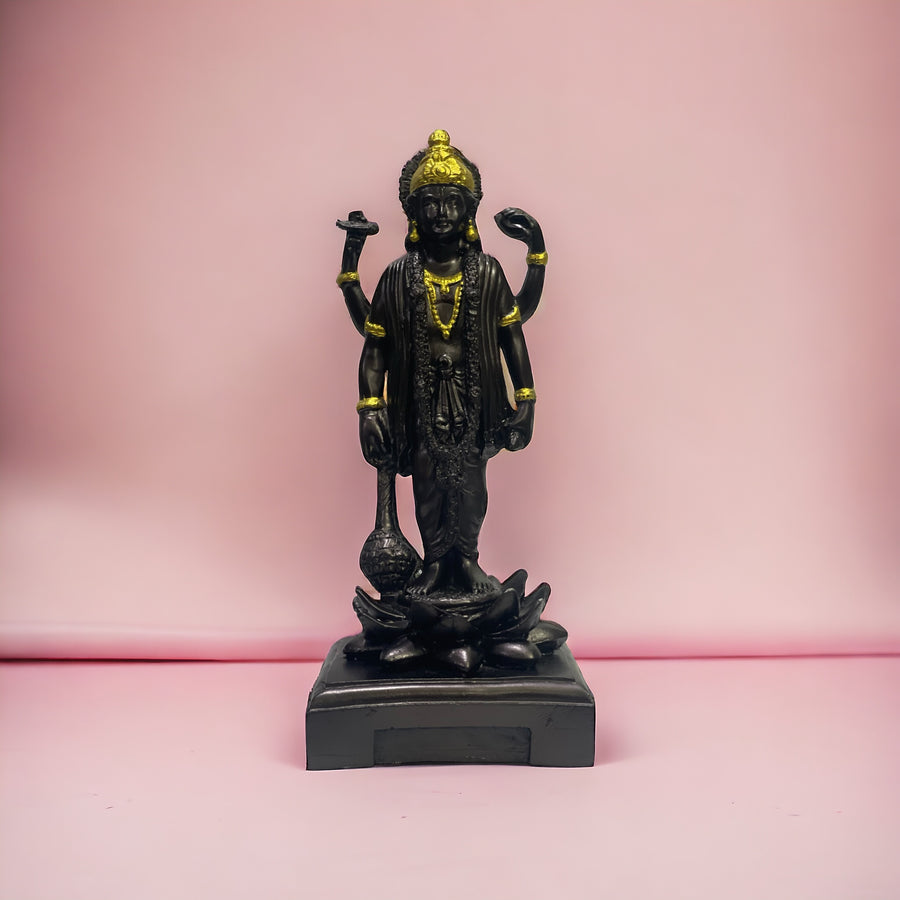 Lord Vishnu Narayan Idol