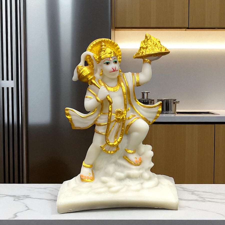 Lord Hanuman Hold Parvat Idol Murti Statue
