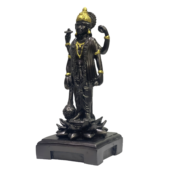 Vishnu Narayan Black Look Idol